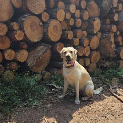 Erfahrungsberichte zu Eukanuba Trocken daily care sensitiv-Beitrag-Bild