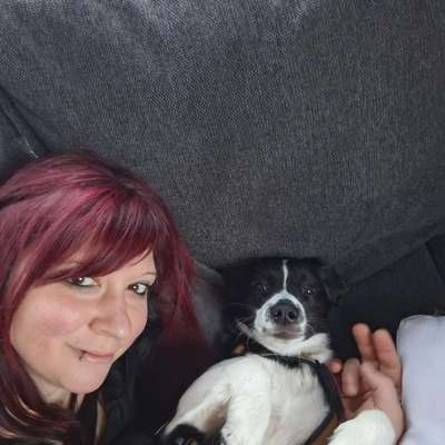 TierschutzhundeStammtisch🐕-Beitrag-Bild