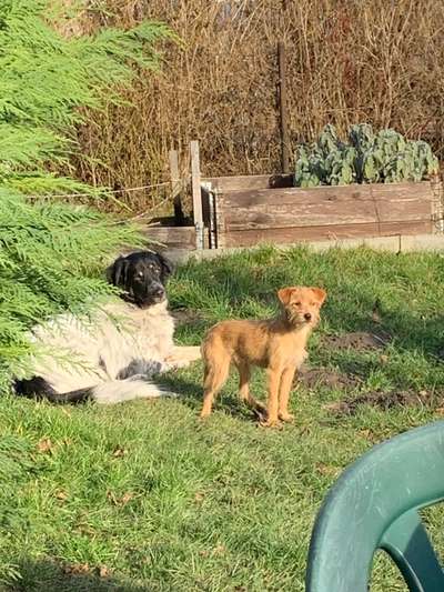 Lieblingsbild-Beitrag-Bild