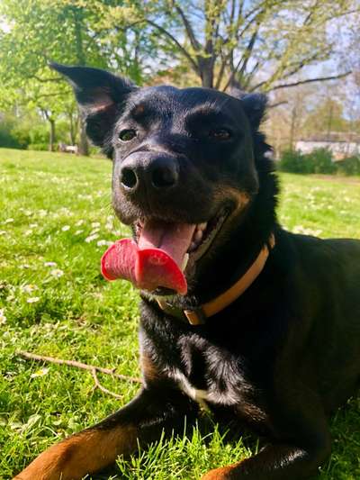 Fotochallenge 37- Sommerfeeling-Beitrag-Bild