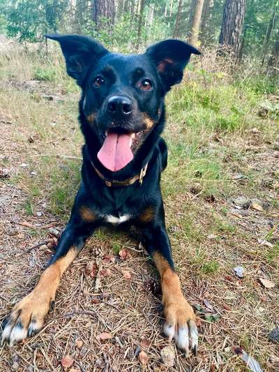 Doppelgänger gesucht !-Beitrag-Bild