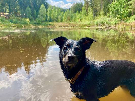 Handy-Foto-Challange Nr.9-Beitrag-Bild