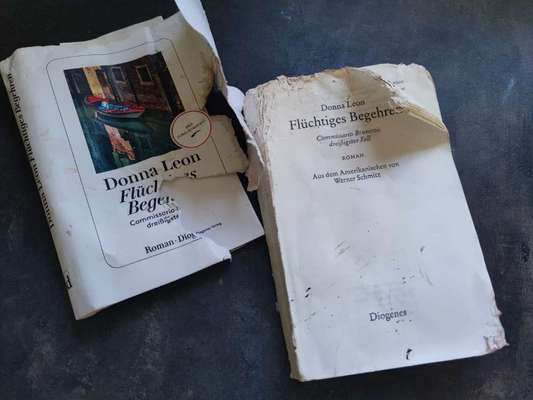 Zeig mir, dass du mit einem hund zusammenlebst....-Beitrag-Bild