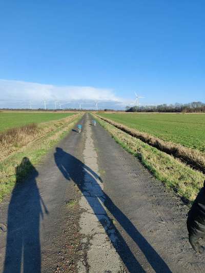 Windhunde - Treffen der besonderen Schönheiten
HERZLICH WILLKOMMEN-Beitrag-Bild