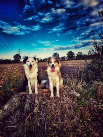 Photoshop und Co.-Beitrag-Bild