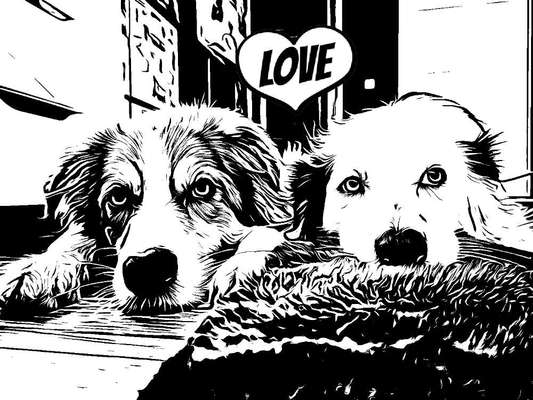 Der Hund als Cartoon-Beitrag-Bild