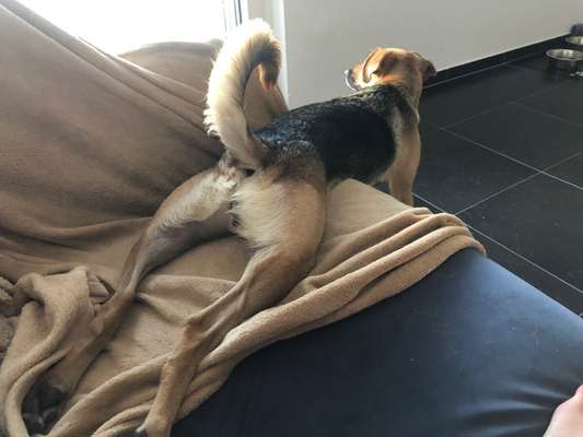 Lustige Grimassen & verrückte Posen-Beitrag-Bild