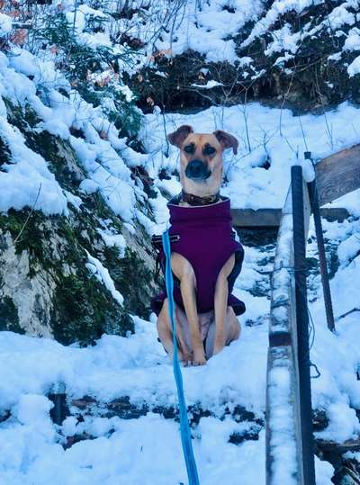 Lieblingsbild-Beitrag-Bild