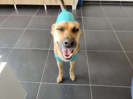 Lustige Grimassen & verrückte Posen-Beitrag-Bild