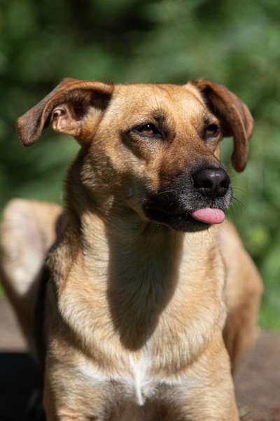 Zeigt eure Portraits-Beitrag-Bild