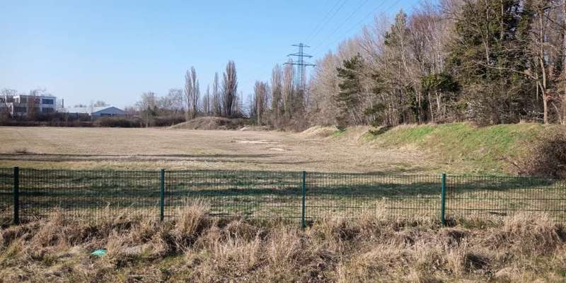 Hundeauslaufgebiet-Inoffizielle Hundewiese-Bild