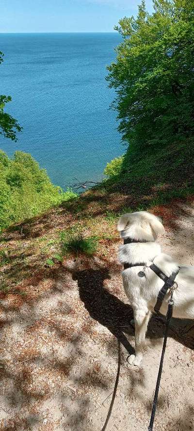 23. Farben / Fotochallenge - Türkis --Beitrag-Bild