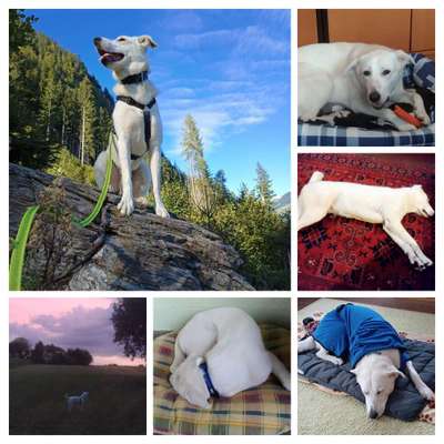 48. Collagen Challenge: Das Leben ist bunt-Beitrag-Bild