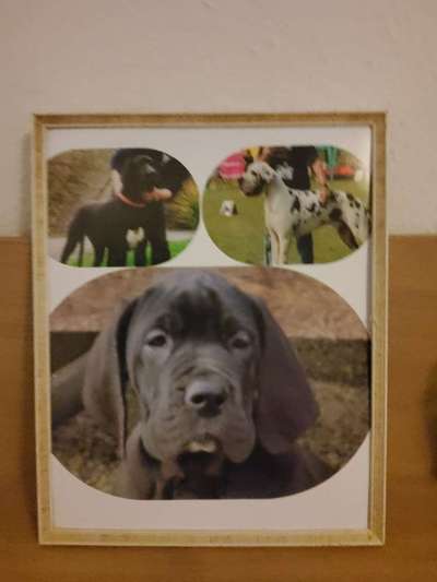 Foto Challenge 82-Beitrag-Bild