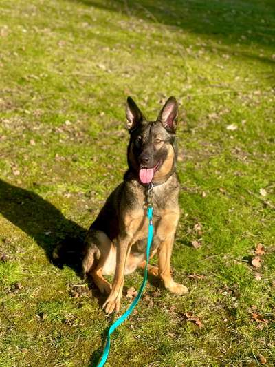 Dogorama Photo Challenge - Der Frühling kommt-Beitrag-Bild