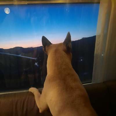 Nadine's Profilbild