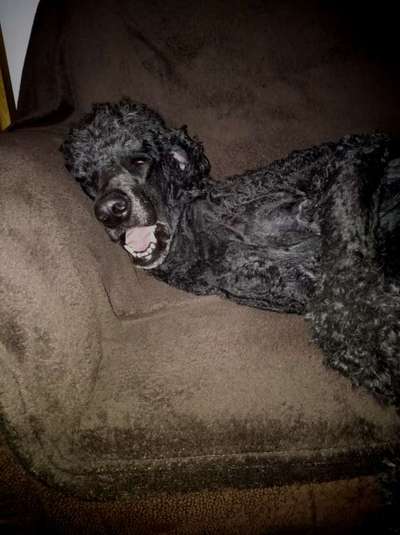 Foto Challenge Nr. 134-Beitrag-Bild