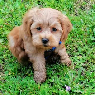 Erstes Bild-Beitrag-Bild