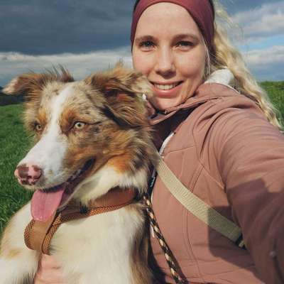Hundetreffen-Playtime