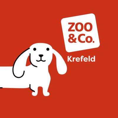 Hundeshops-Zoo&Co & Krefeld-Bild