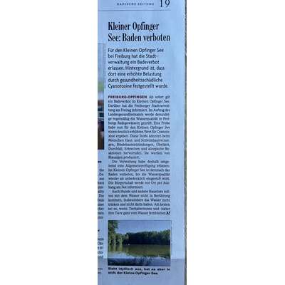Giftköder-Blaualgen/Cyanobakterien-Bild