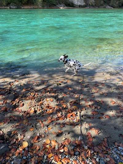 Lustigsten Bilder-Beitrag-Bild