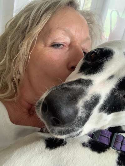 Dogorama Photo Challenge - Liebesbeweis-Beitrag-Bild