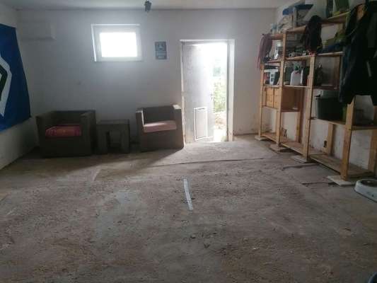 Alles rund um den Schäferhund, diskutieren erwünscht.-Beitrag-Bild