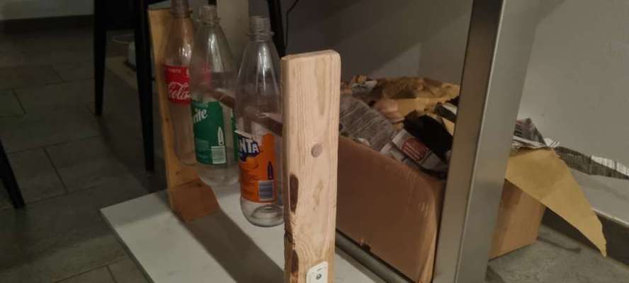 Alles rund um den Schäferhund, diskutieren erwünscht.-Beitrag-Bild