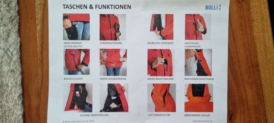 Alles rund um den Schäferhund, diskutieren erwünscht.-Beitrag-Bild