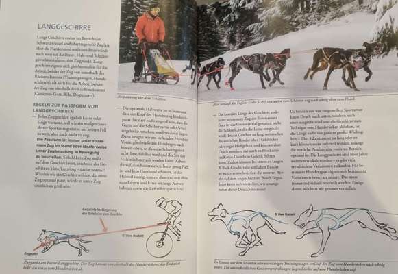 Canicross/Bikejöring-Ausstattung-Beitrag-Bild