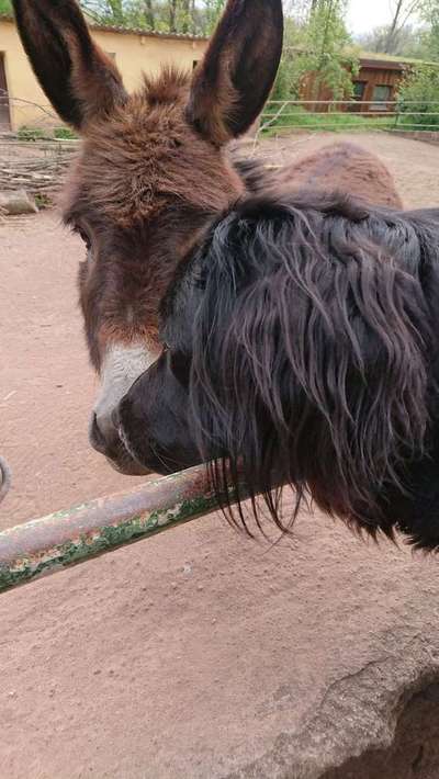 Lieblings Schnappschuss?-Beitrag-Bild