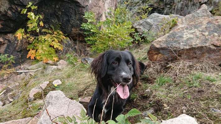 Lieblings Schnappschuss?-Beitrag-Bild