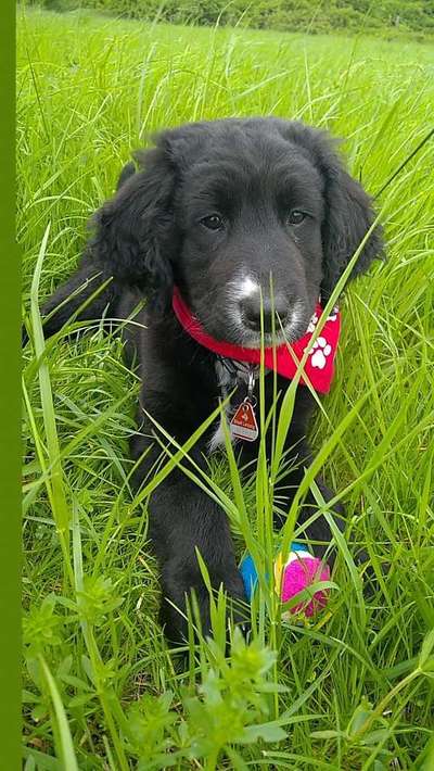 Lieblings Schnappschuss?-Beitrag-Bild