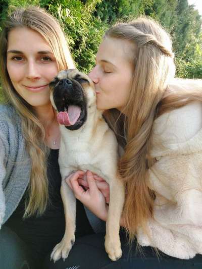 Dogorama Photo Challenge - Dein Hund beim Gähnen-Beitrag-Bild