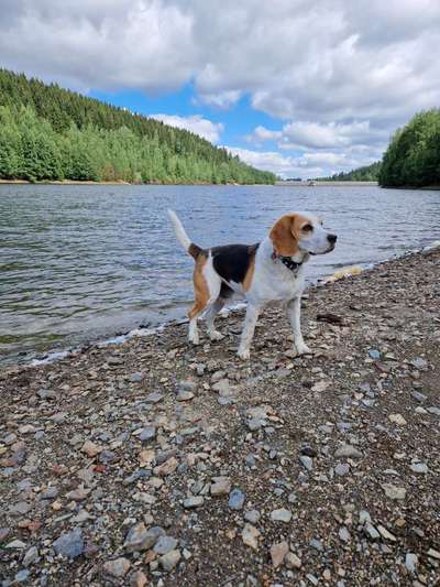 Doppelgänger gesucht !-Beitrag-Bild