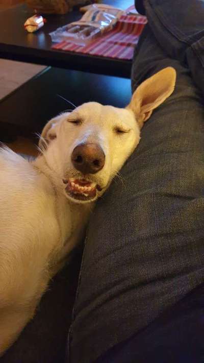 CHALLENGE NR. 34 - Liege-/Schlafpositionen-Beitrag-Bild