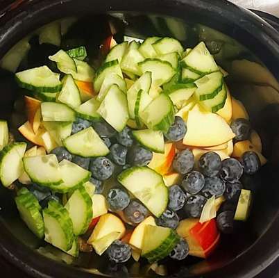 Zeigt her Eure Futternäpfe-Beitrag-Bild