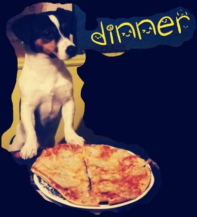 Hier ist der Spaßthread. Zum Schmunzeln und Kaputtlachen-Beitrag-Bild