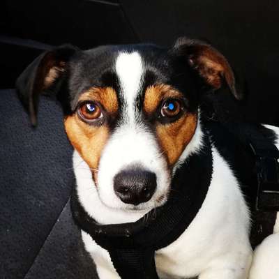 Lieblingsbild :D-Beitrag-Bild