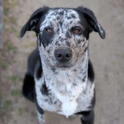 Johanna's Profilbild