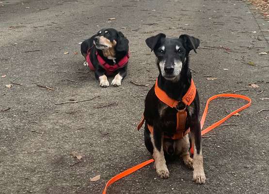 19. Farben  Fottochallenge :
Lieblingsfarbe-Beitrag-Bild