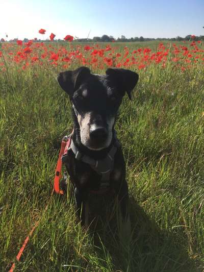 11. Farben Foto Challenge Rot-Beitrag-Bild