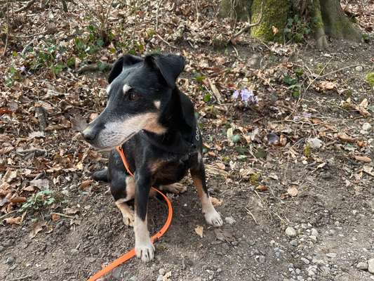 Doppelgänger gesucht !-Beitrag-Bild