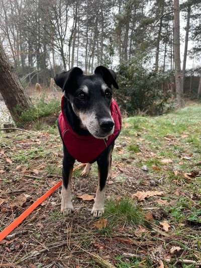 Doppelgänger gesucht !-Beitrag-Bild