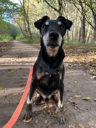 Fotochallenge 113: Auf frsicher Tat ertappt-Beitrag-Bild