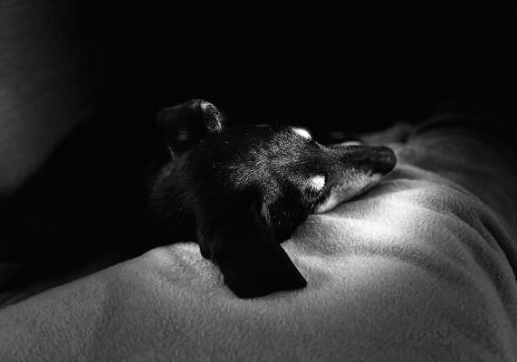 Foto Challenge Nr. 134-Beitrag-Bild