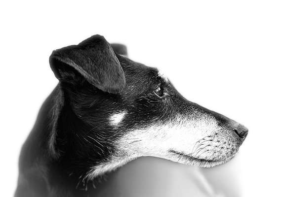 14. Farbenfoto-Challenge "Weiss"-Beitrag-Bild