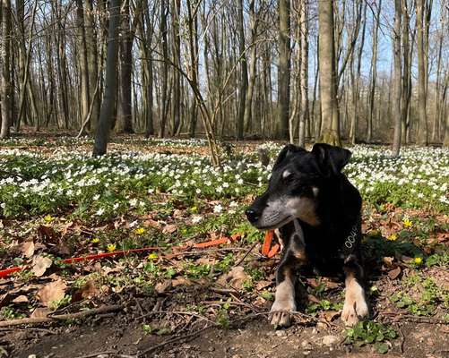 Fotochallenge Nr. 126-Beitrag-Bild