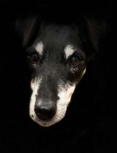 Ton in Ton-Beitrag-Bild